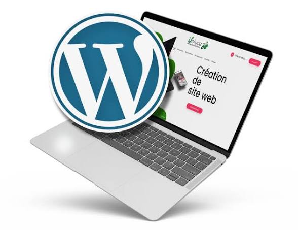 Espesyal kreyasyon sit entènèt avèk WordPress 